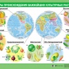 Селекция растений. Презентация