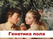 Урок онлайн. Генетика пола